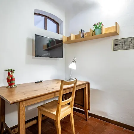 Roommo Viola