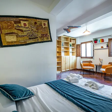 Roommo Viola * Florenz