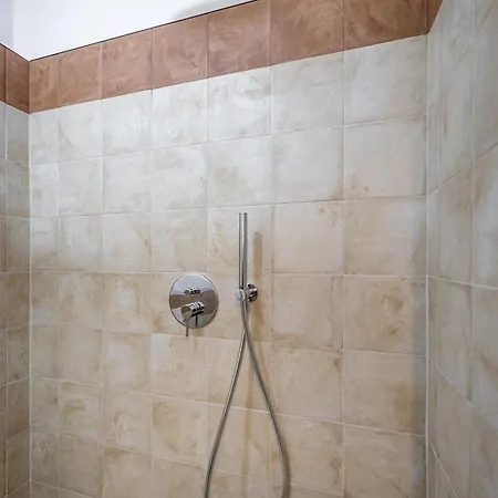 Roommo Viola *