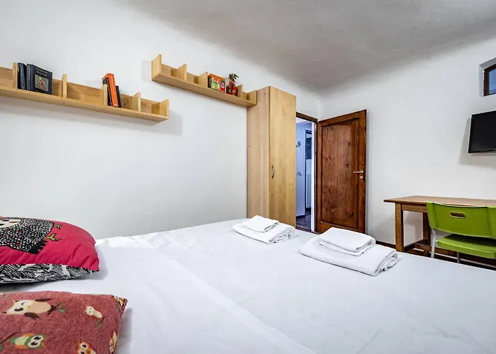 Roommo Viola *